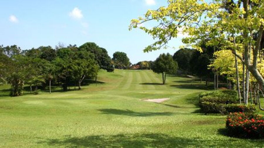 Palm Resort GCC - Allamanda