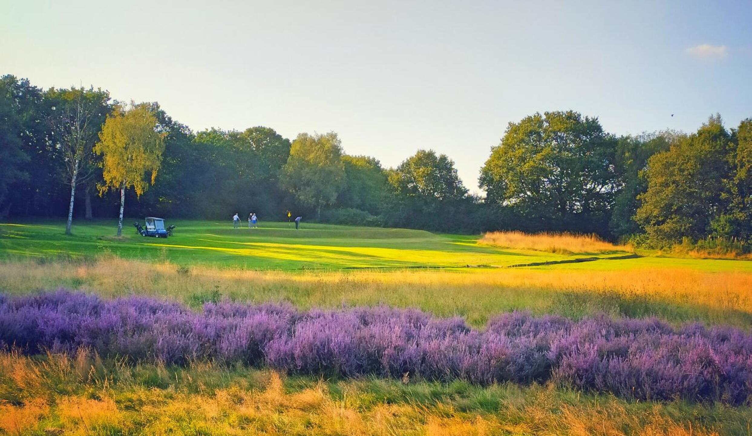 (Photo submitted by DeanWilkes on 08/27/2021)