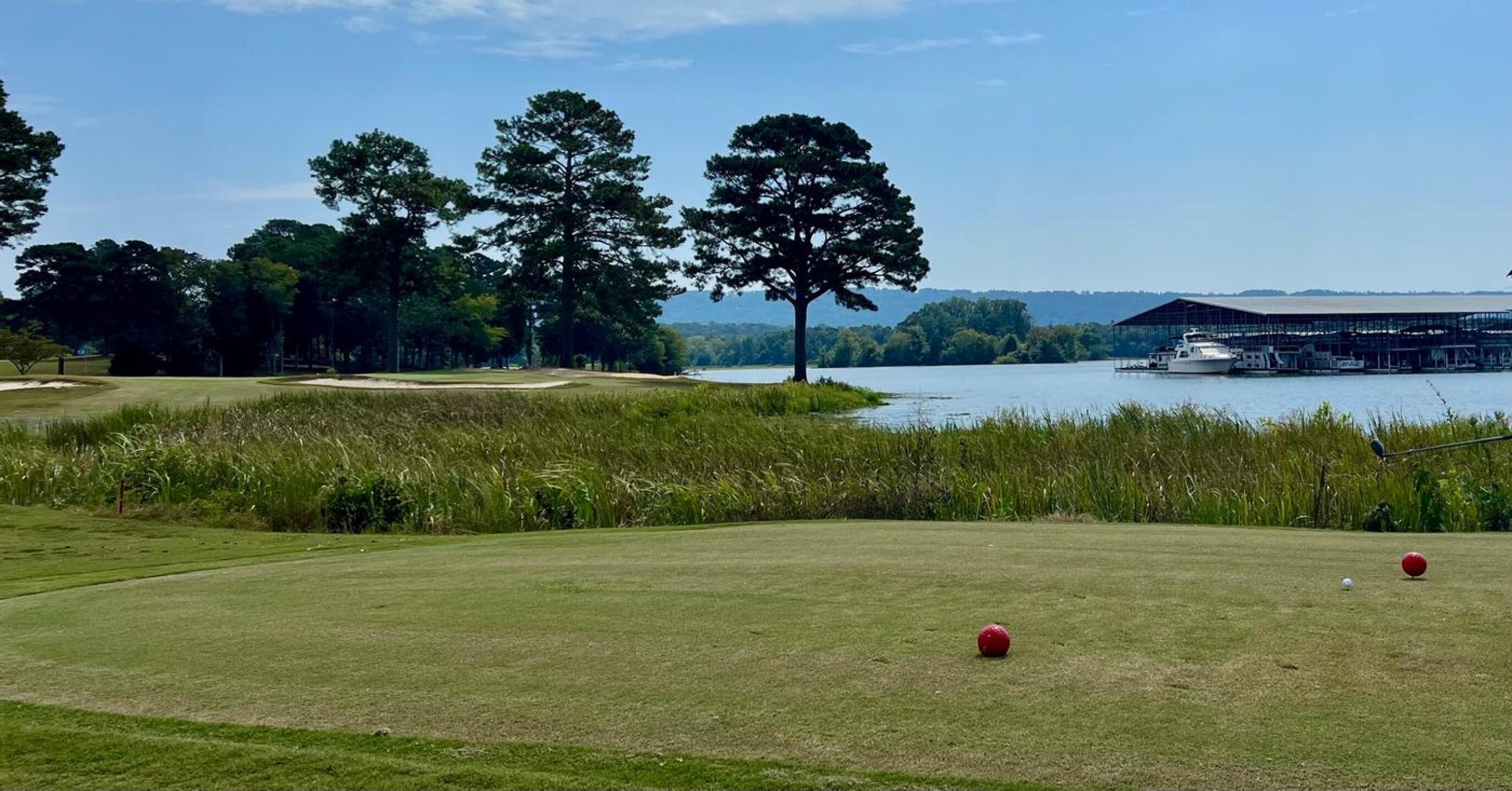 (Photo submitted by u314160741650 on 09/17/2025)