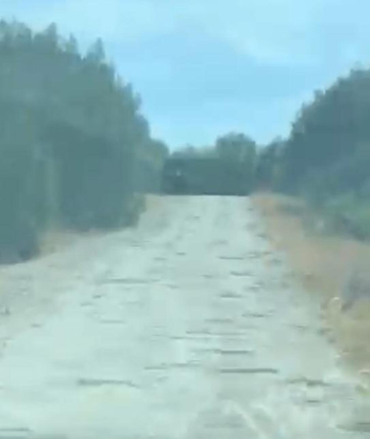 Pot hole road (Photo submitted by u877048923 on 08/18/2020)