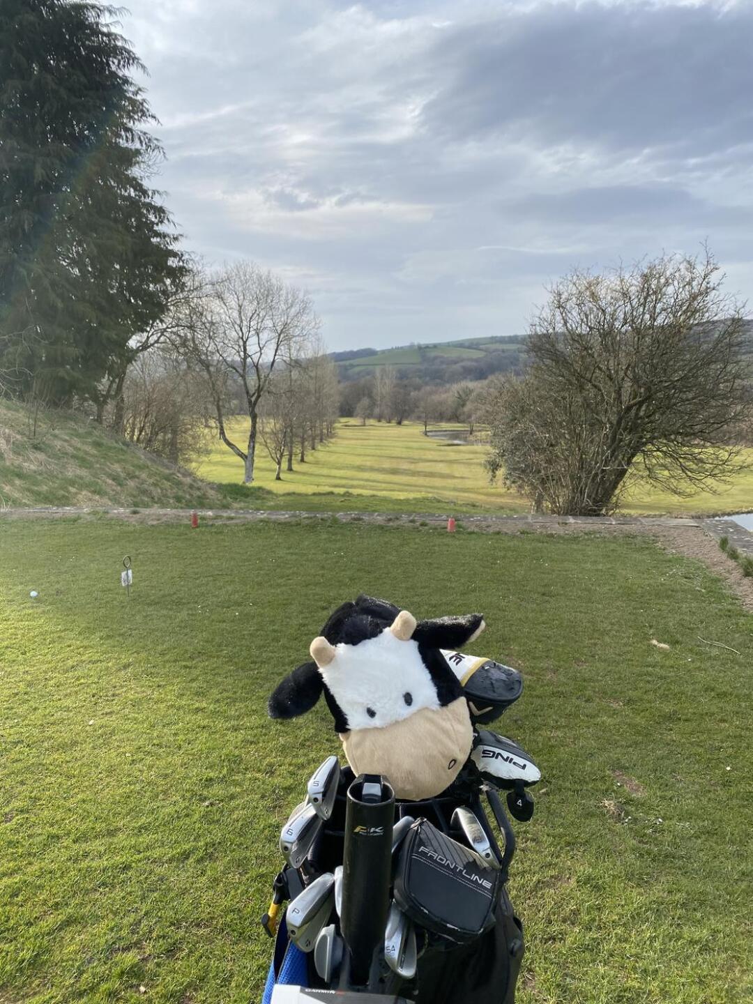 (Photo submitted by gethin1 on 04/05/2025)