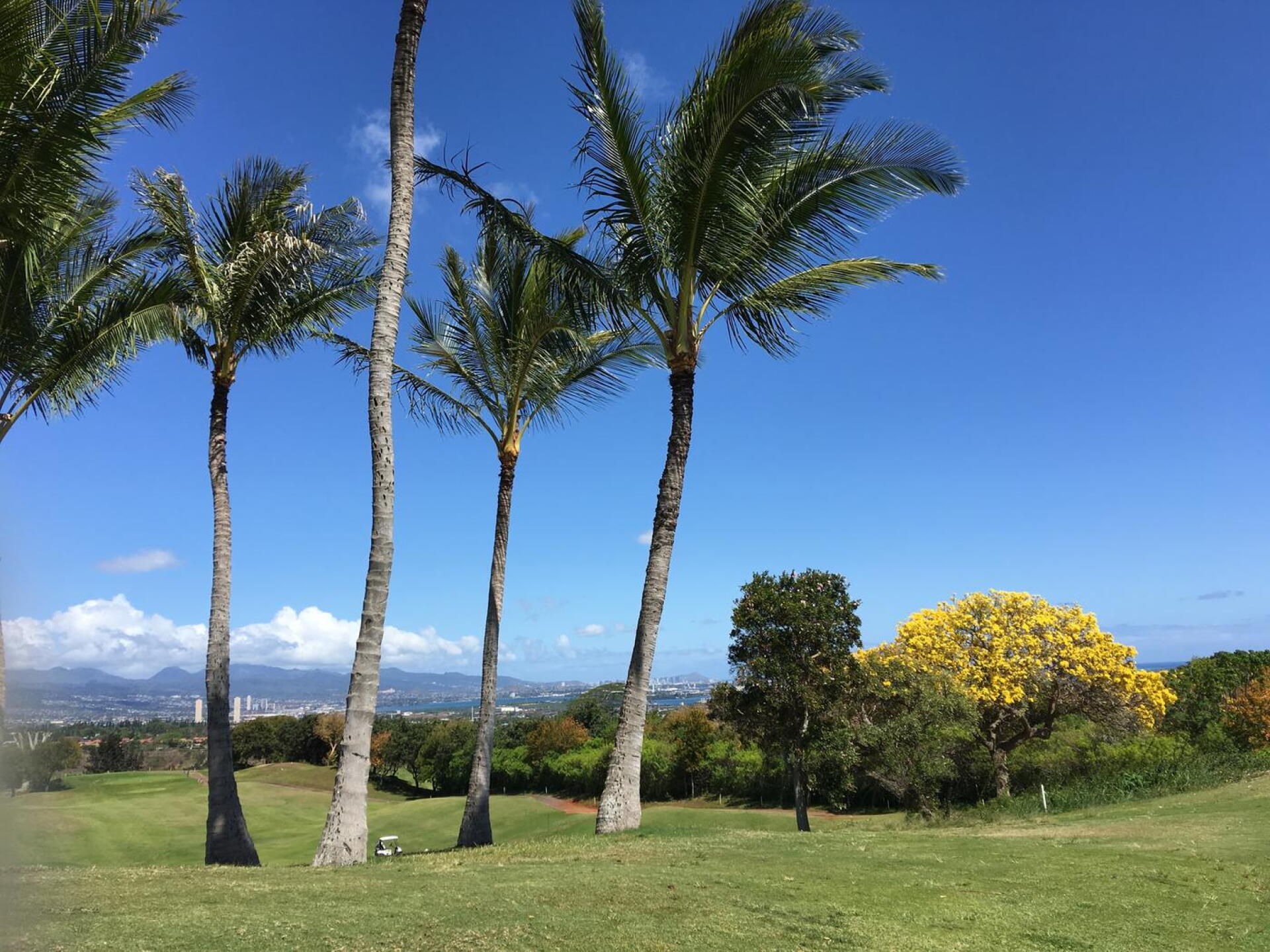 diamond head/honolulu at the back (Photo submitted by Miguelgolf on 05/04/2016)