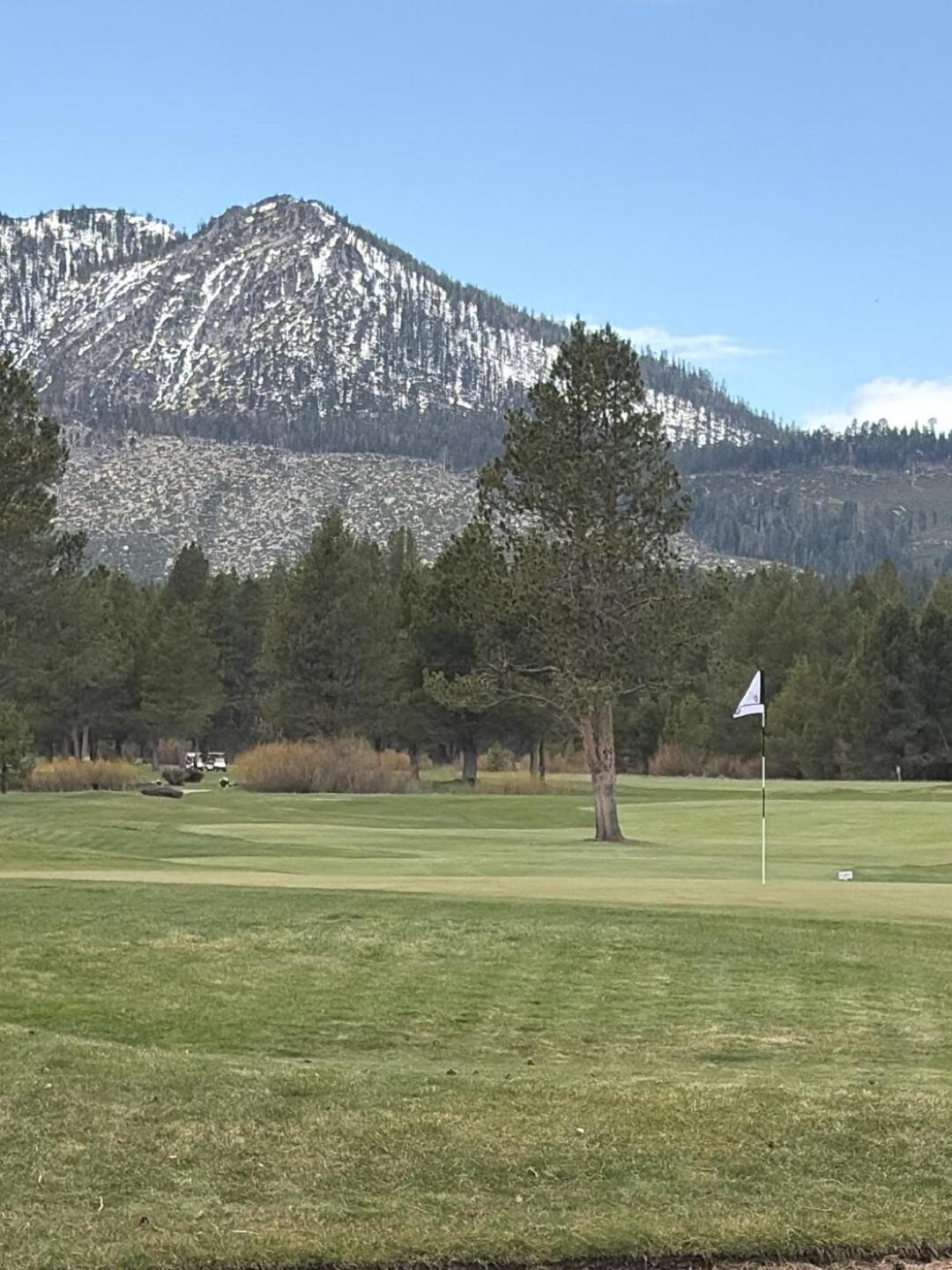 (Photo submitted by u314160853744 on 04/05/2026)