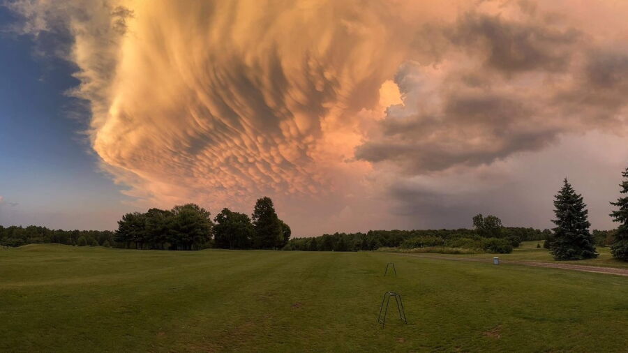 Oak Tree GC