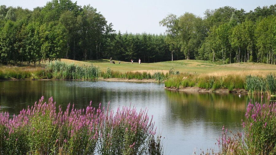 Drentsche GCC