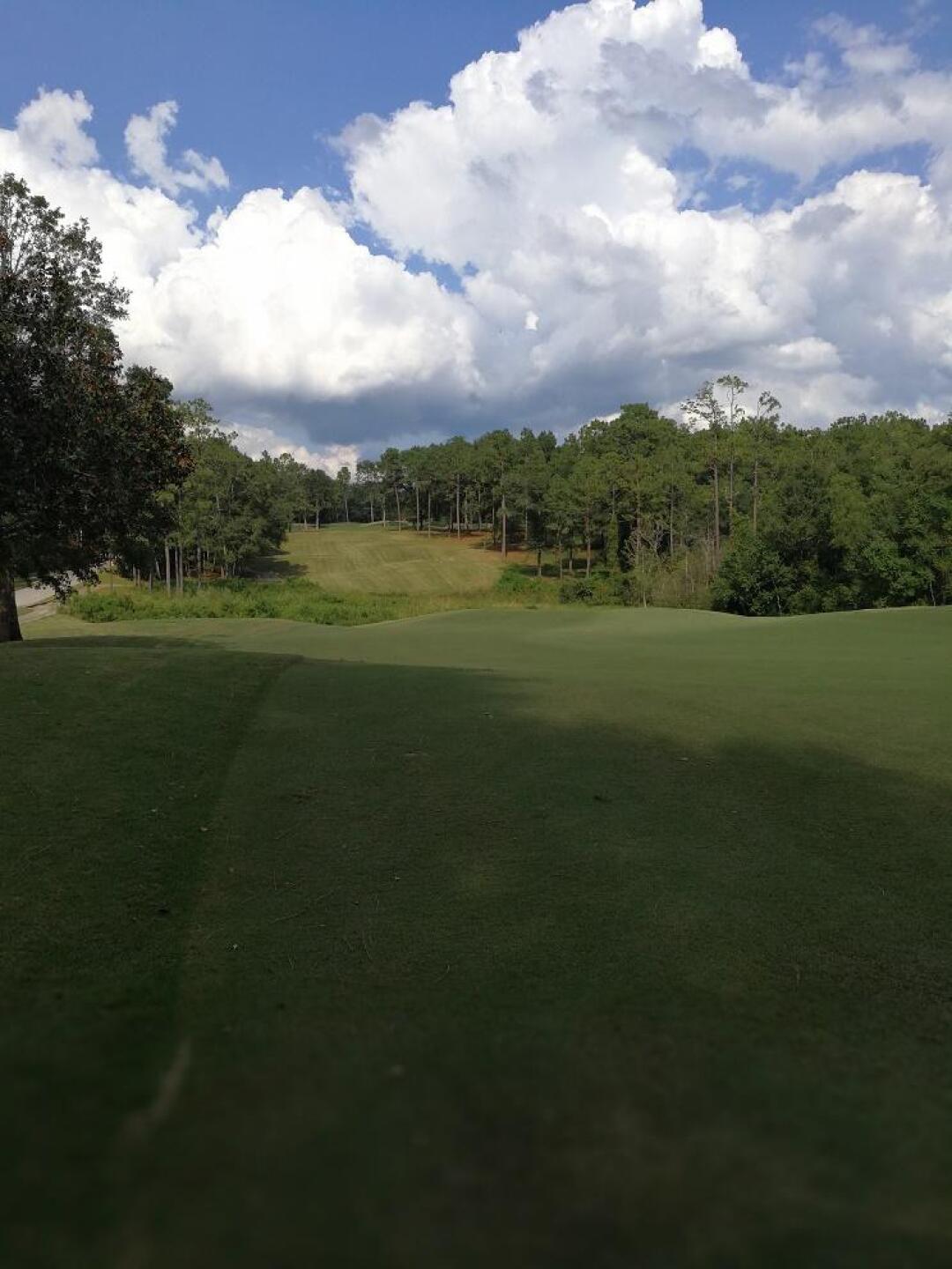 (Photo submitted by Blacmacc on 09/23/2017)