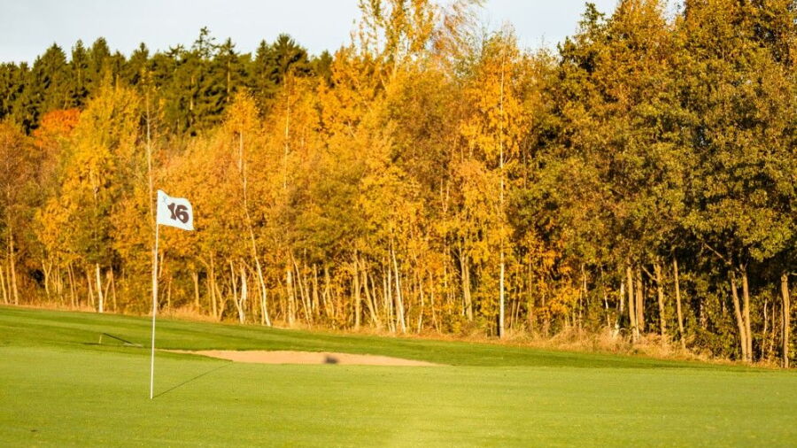 GC Alfredov: #16