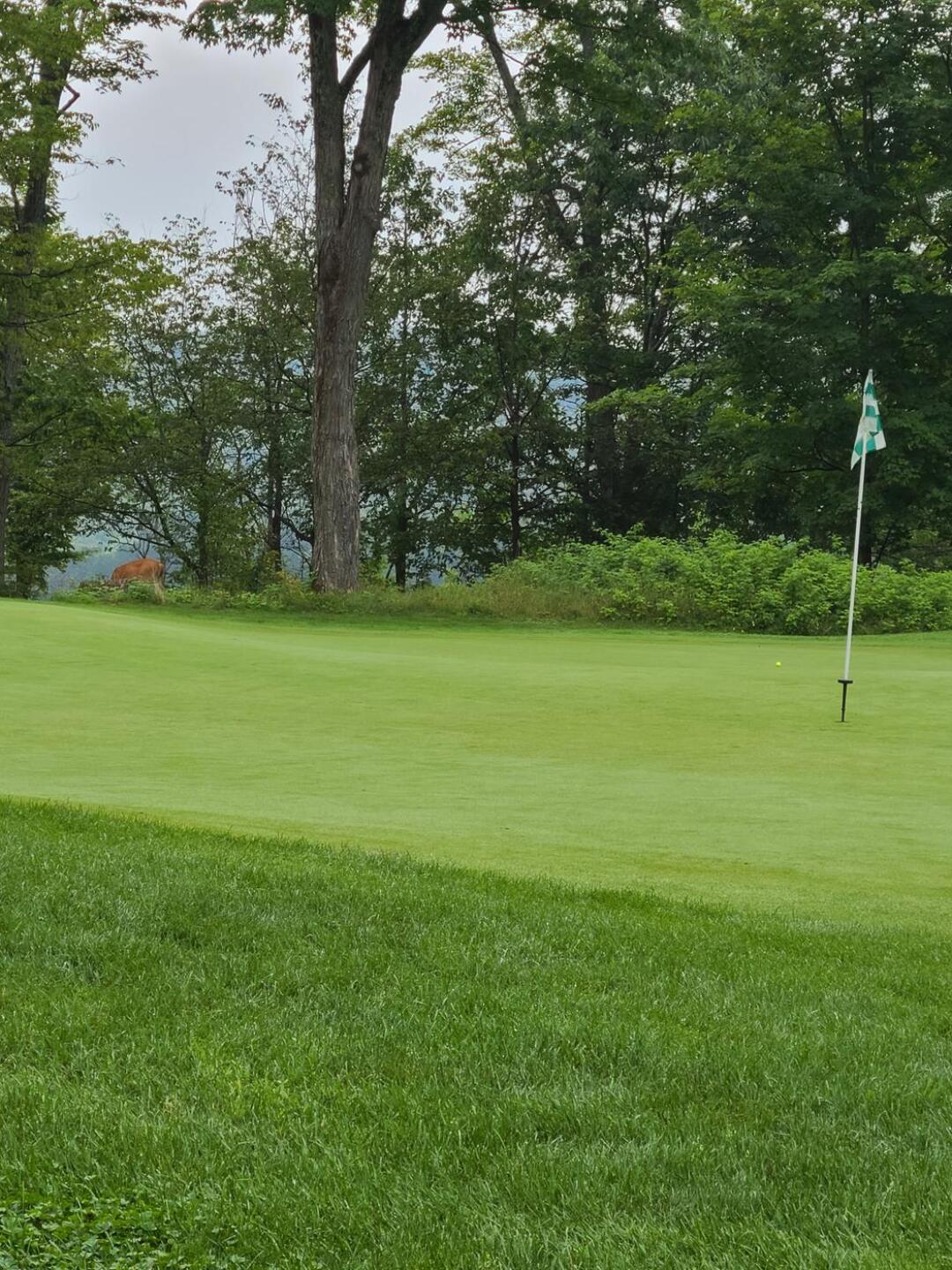 (Photo submitted by u9385984 on 08/09/2020)