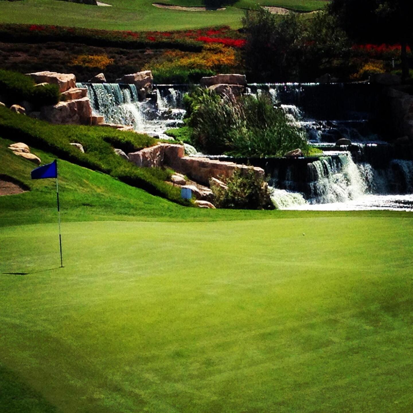 (Photo submitted by andyknepper123 on 06/26/2015)