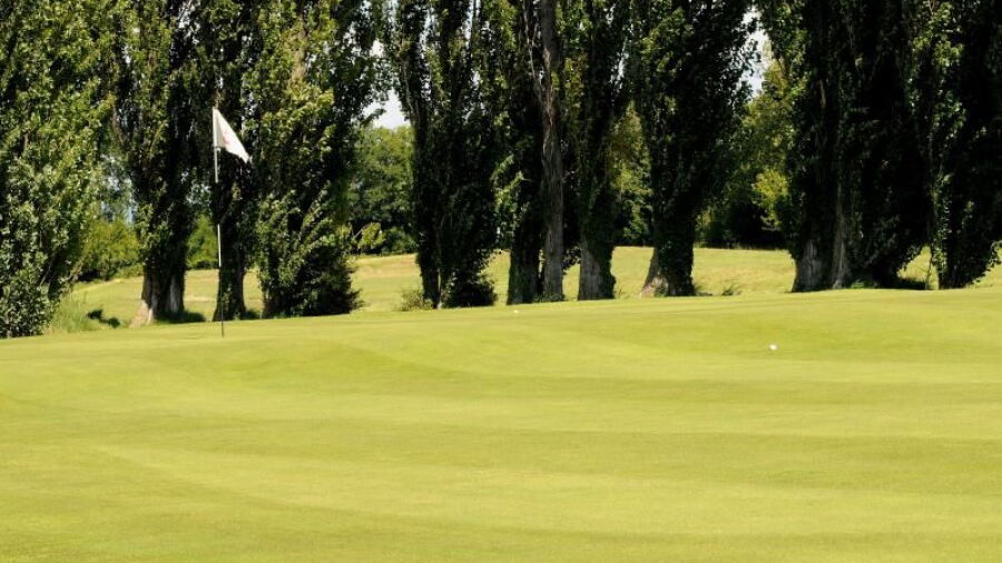 Orange GC: #5