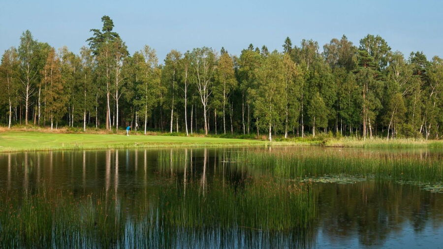 Wittsjo GC