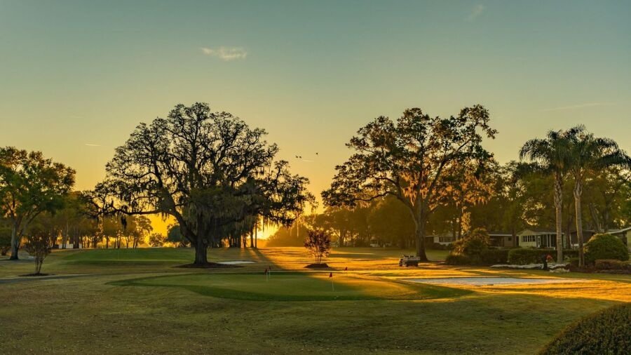 Water Oak GC: Putting green