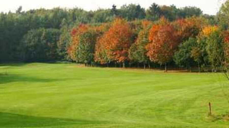 Vechta Welpe GC: #9