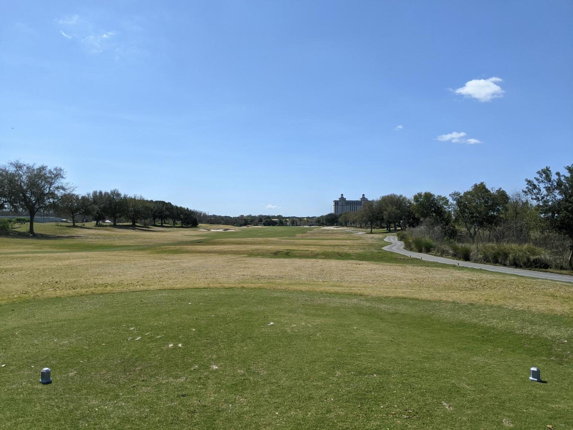 (Photo submitted by tiburonazo on 03/12/2021)