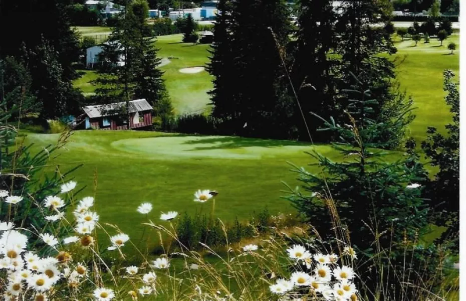 Club Shuswap Golf & R.V. - Lakeview Greens: #14