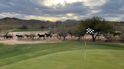 Rancho de los Caballeros - horses 