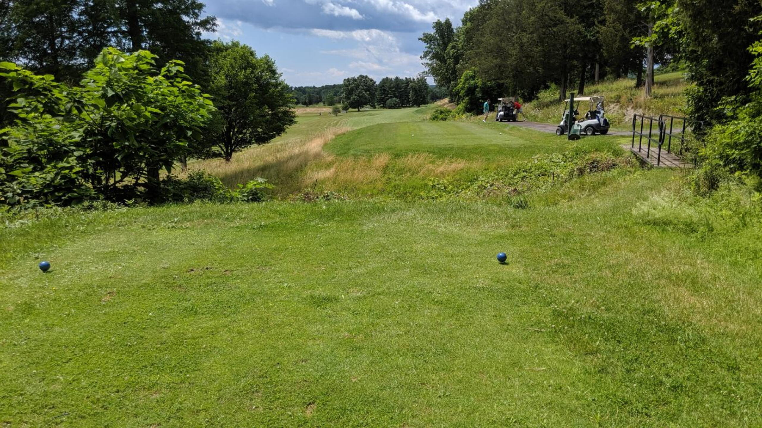 (Photo submitted by Back9Ben on 07/04/2019)