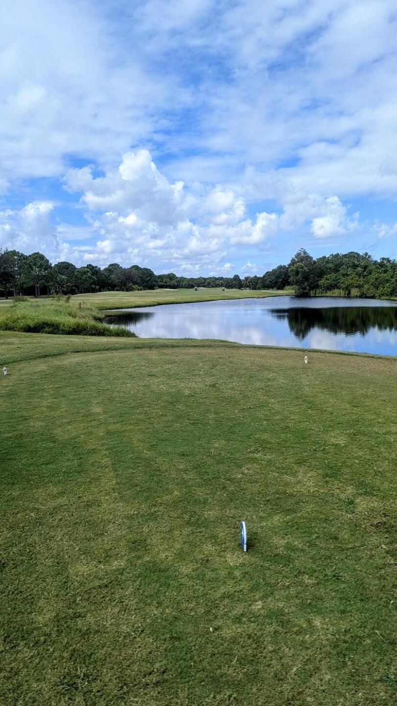 (Photo submitted by tiburonazo on 10/16/2024)