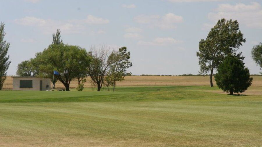 CC of Dimmitt