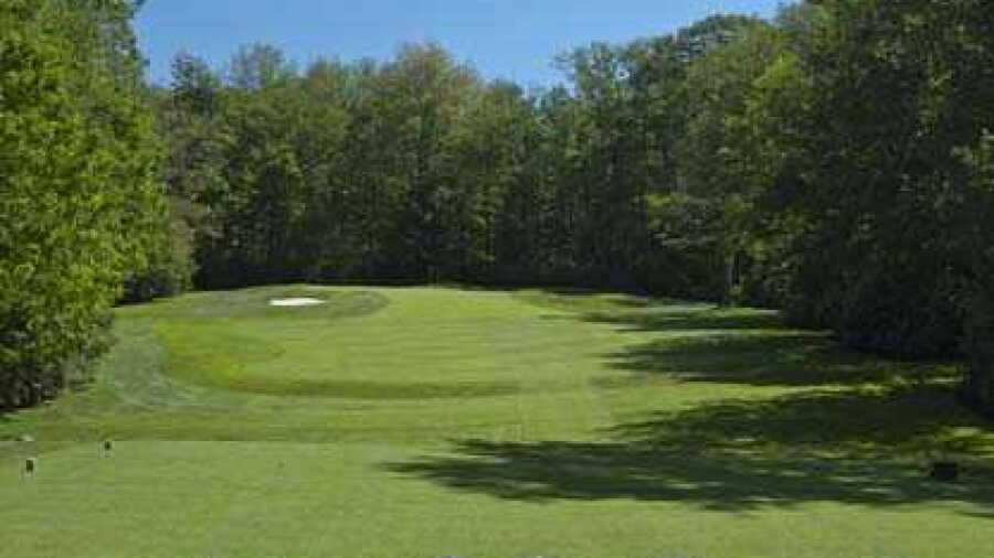 Grandfather at Grandfather GCC: #14