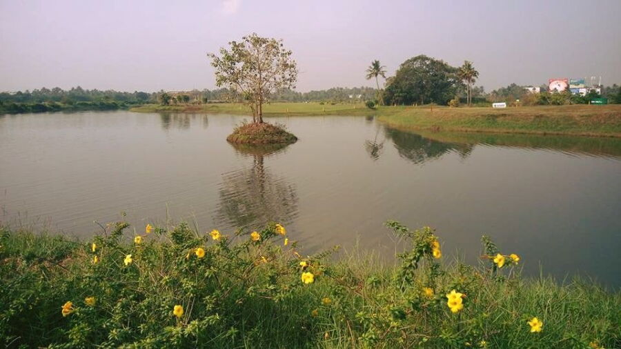 Cochin GC