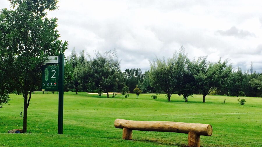 Briceno GC: #2