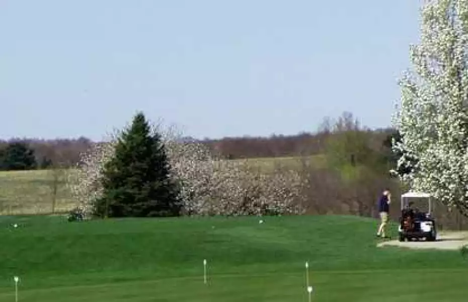 Marada GC: Practice area