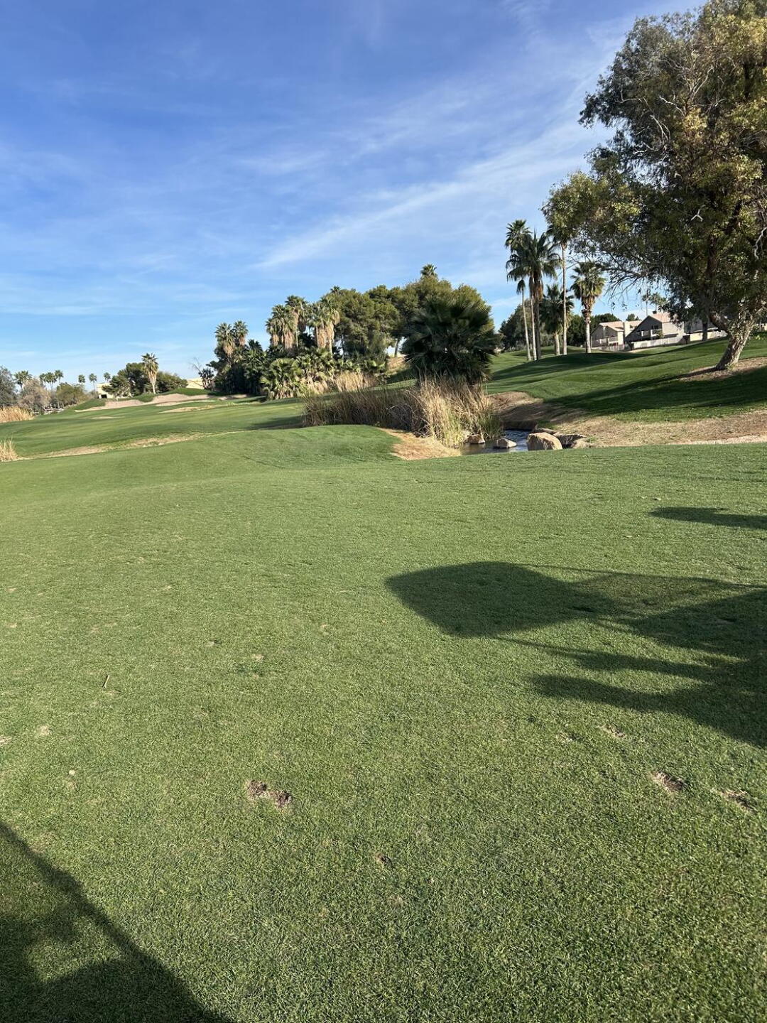 (Photo submitted by Stephen2568415 on 02/25/2026)