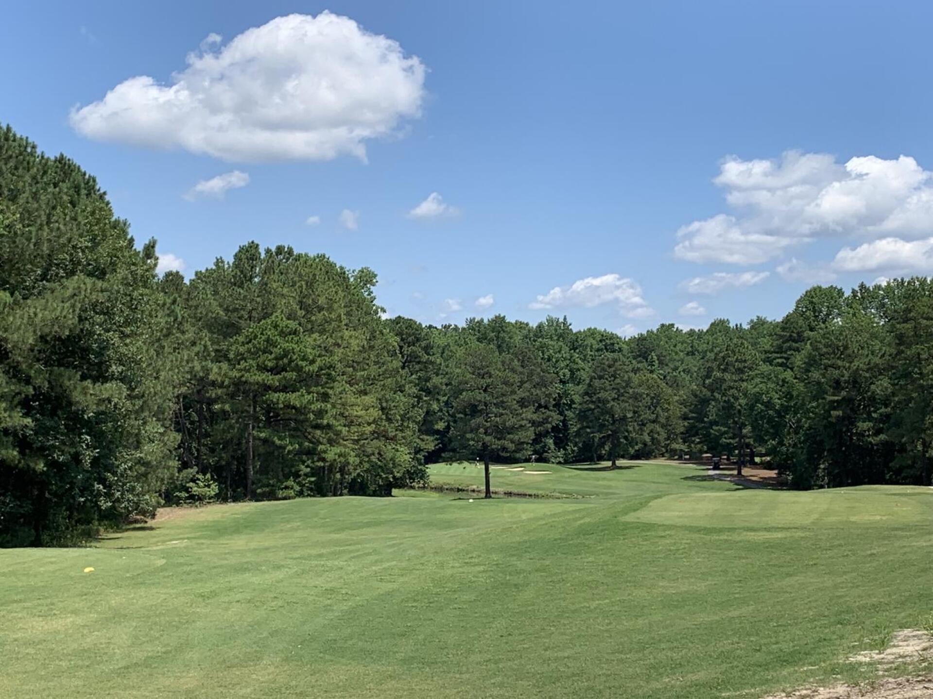 (Photo submitted by u000008123232 on 07/03/2021)