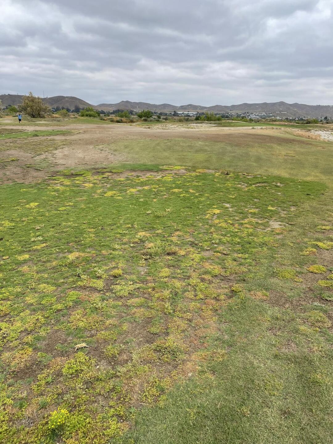 This was one of the better fairways. That’s weeds, not grass. (Photo submitted by cagrimes20 on 05/29/2023)