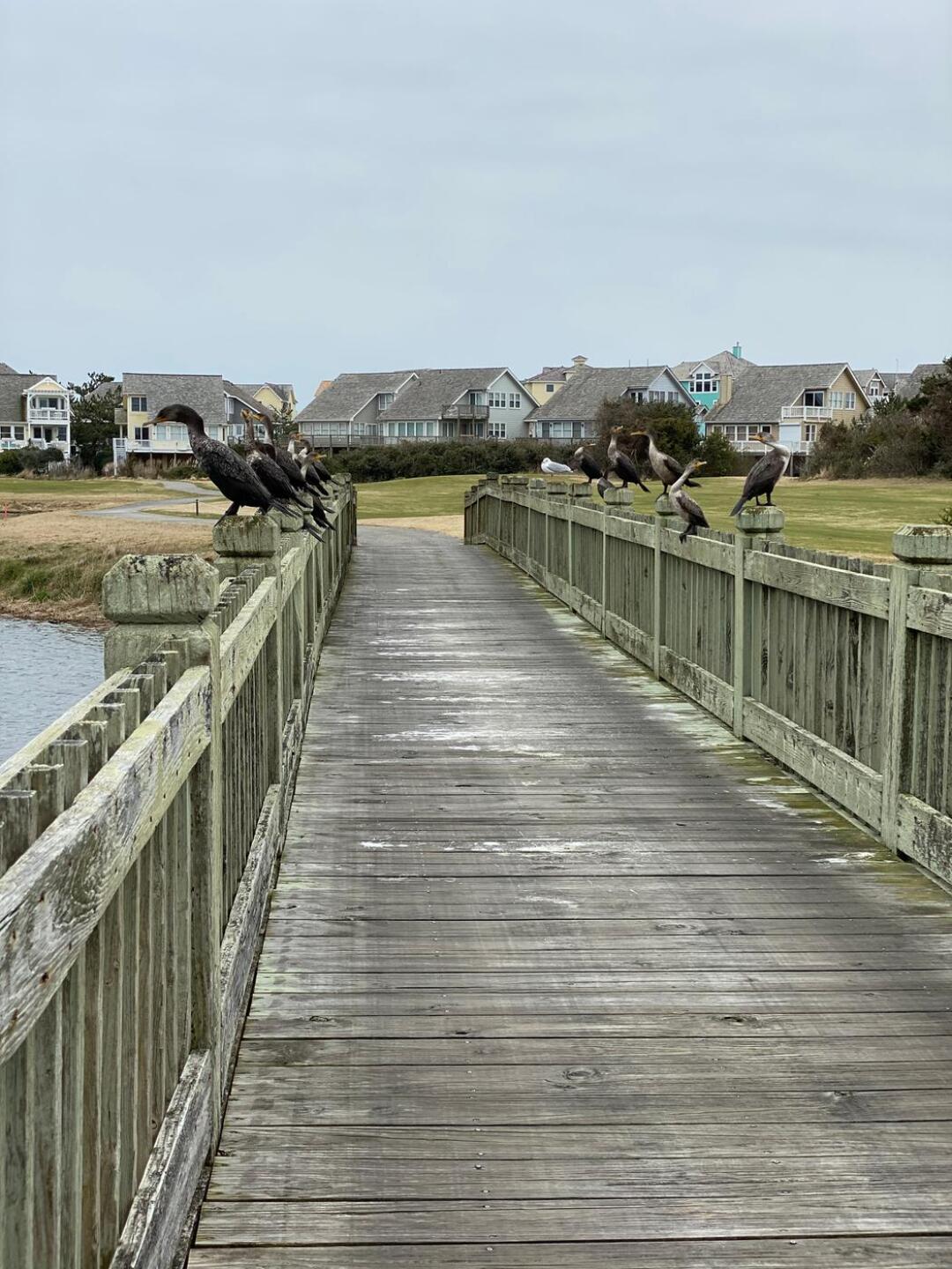 Great course... (Photo submitted by Robert1068488 on 02/20/2020)