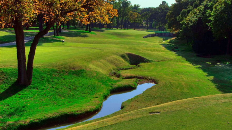 Oak Tree CC