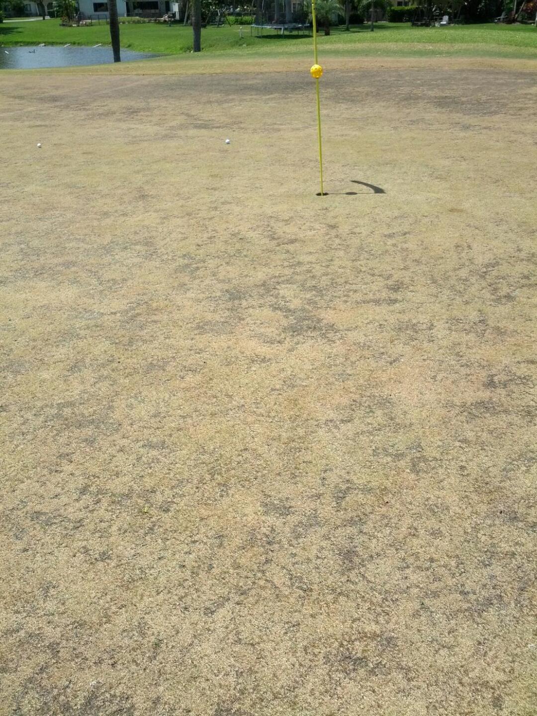 Green #16 (Photo submitted by Billyz4 on 05/04/2015)