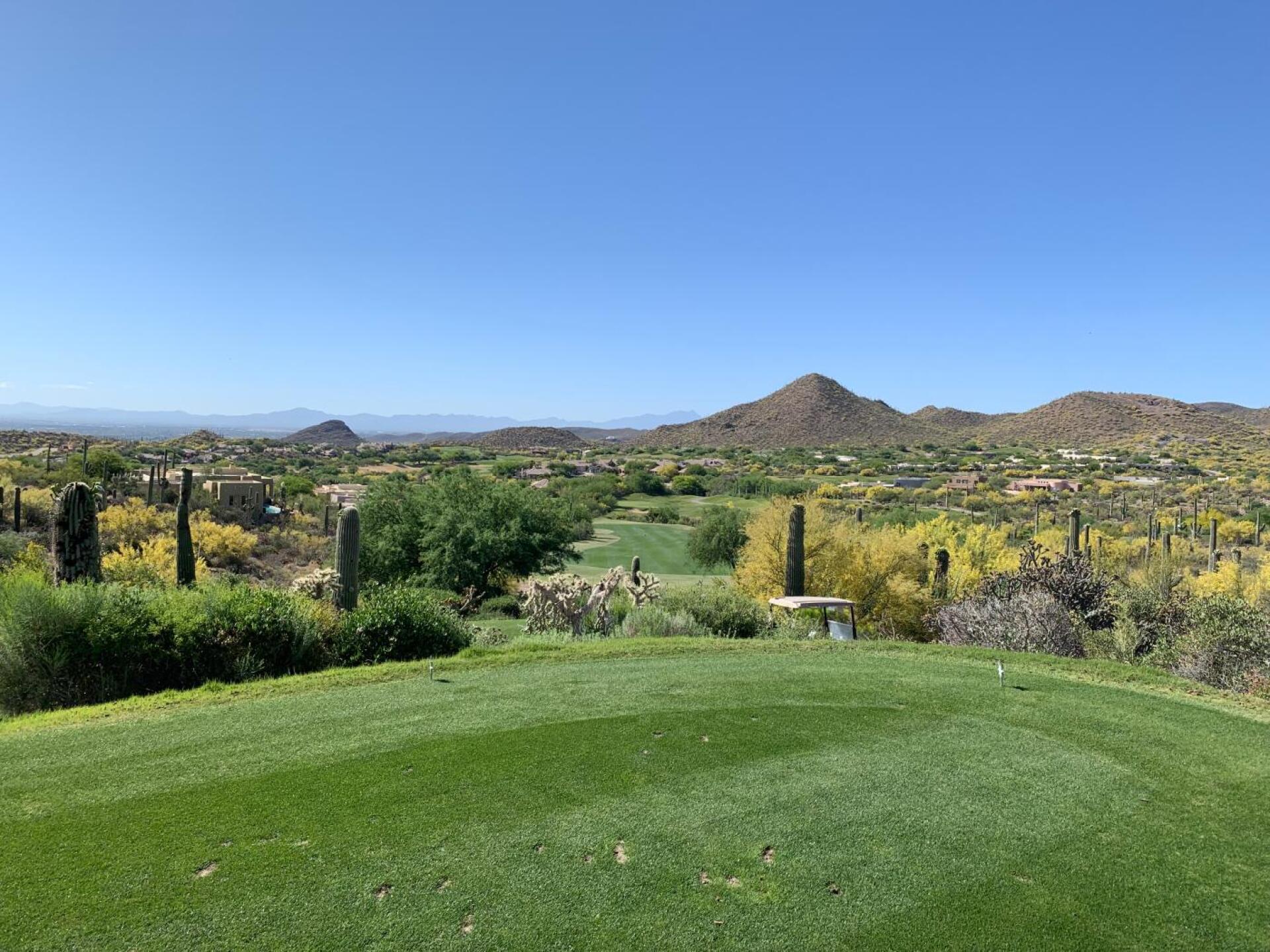 (Photo submitted by u312429233 on 05/11/2019)