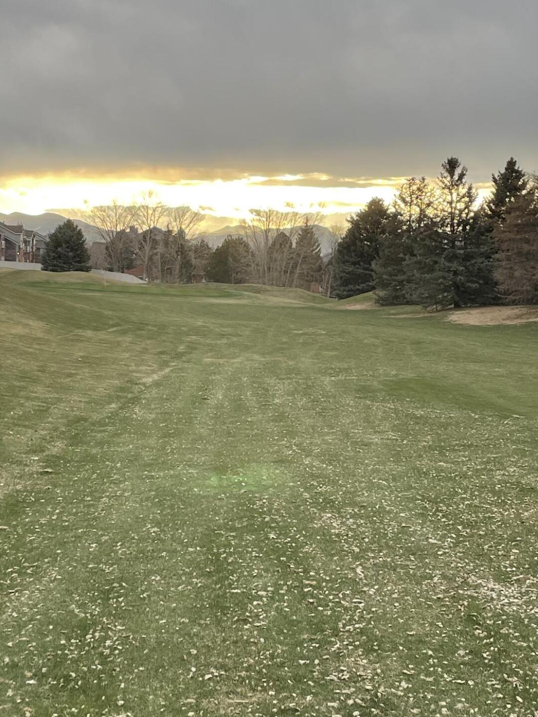 (Photo submitted by AKartes on 04/04/2022)