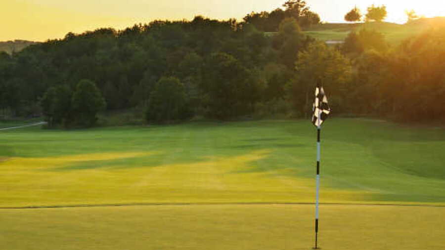 Exeter CC
