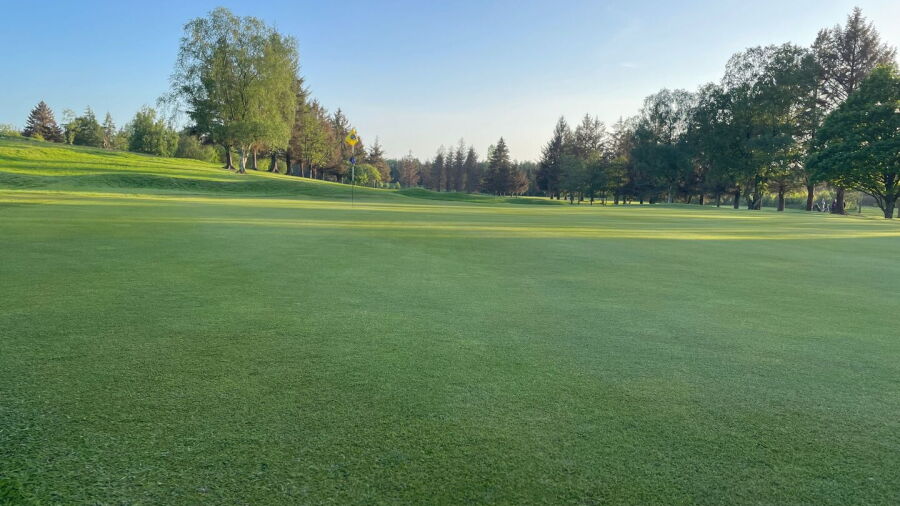 Hamilton GC: #14