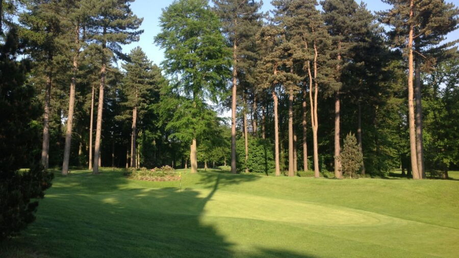 5th green on the Forest Course