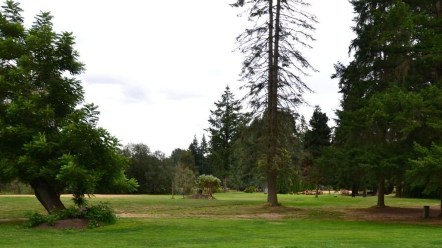 Blue Heron GC