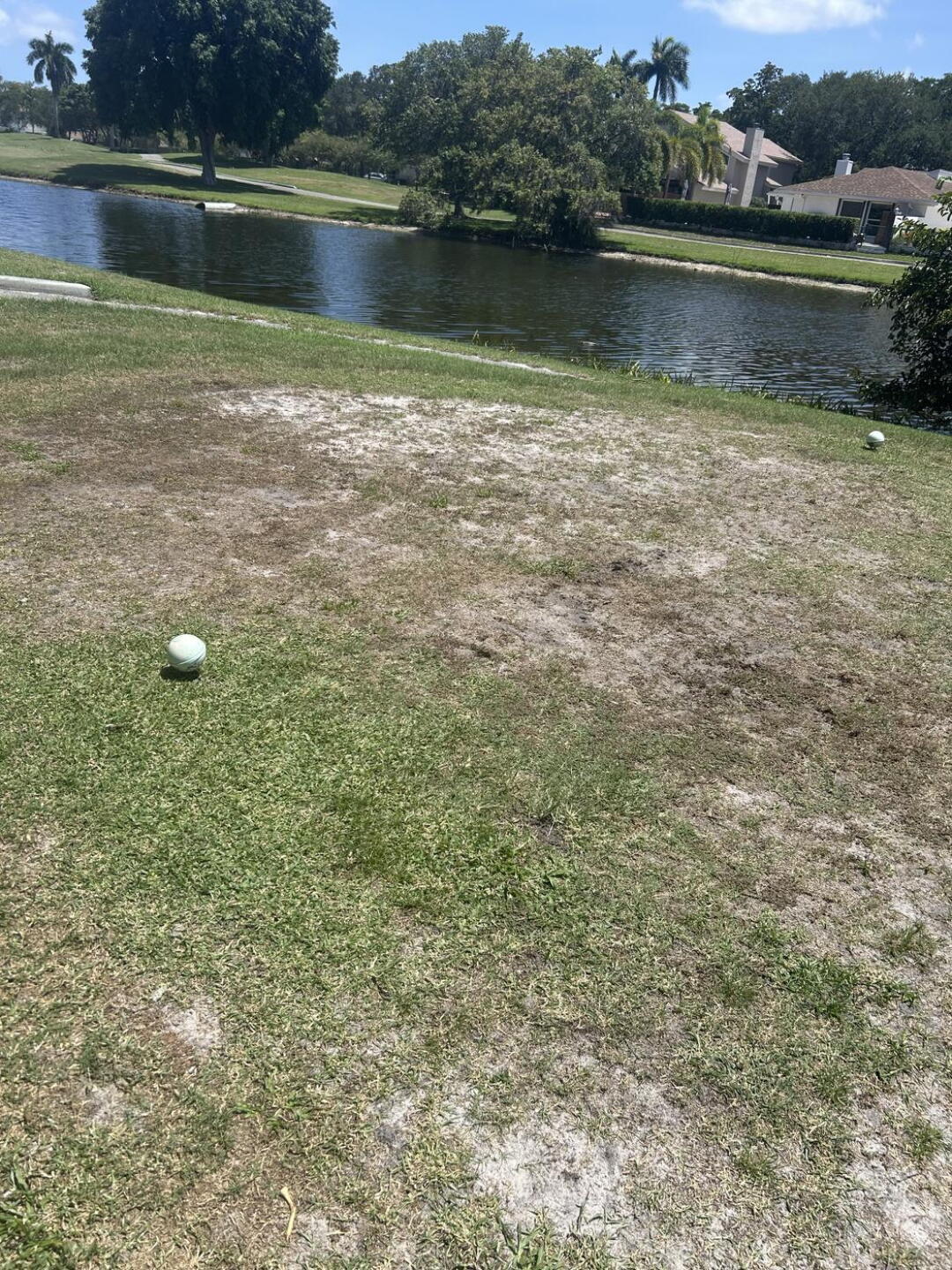 Typical tee box (Photo submitted by Batalia on 07/19/2025)