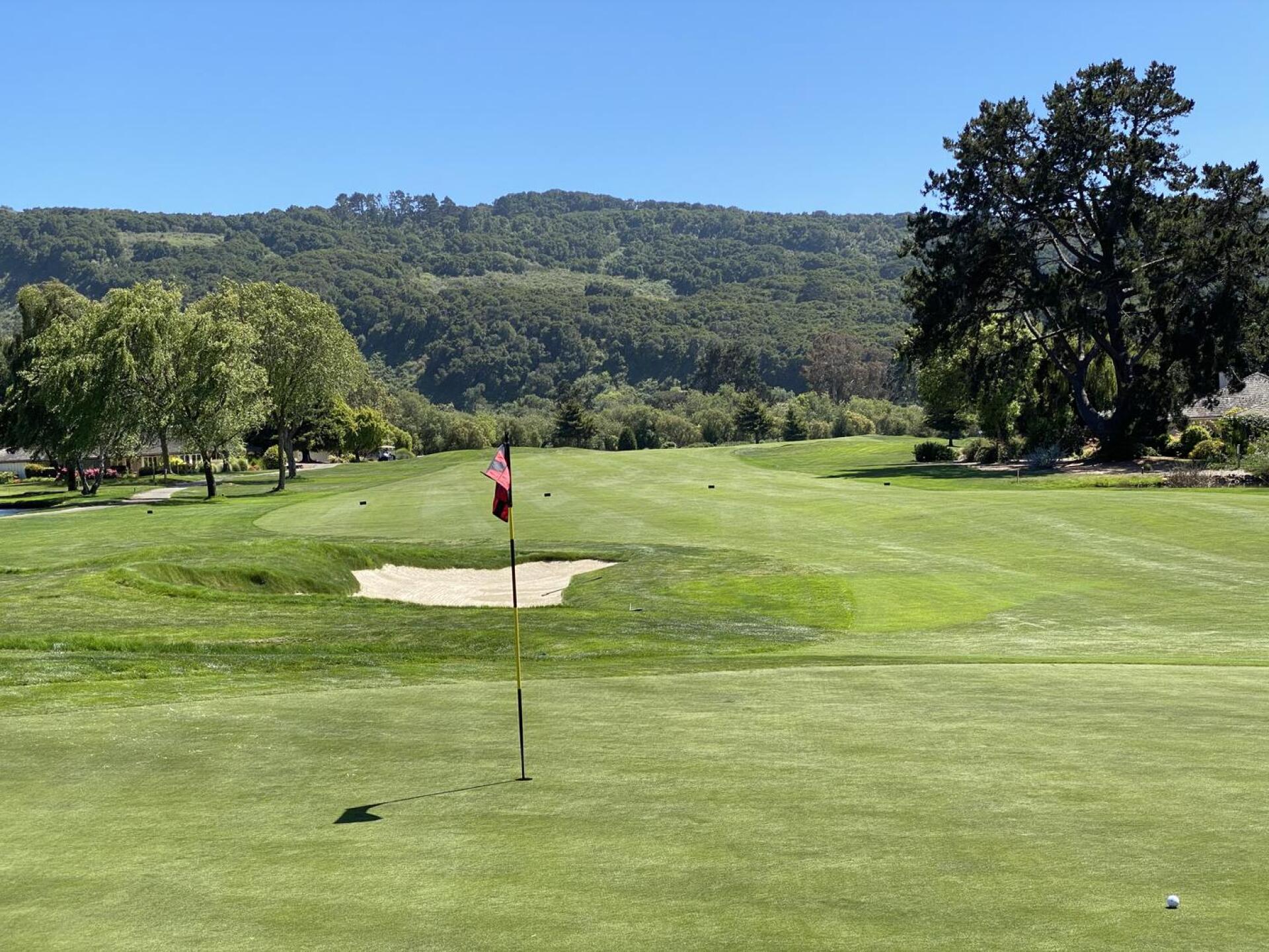 (Photo submitted by u000004943458 on 06/04/2021)