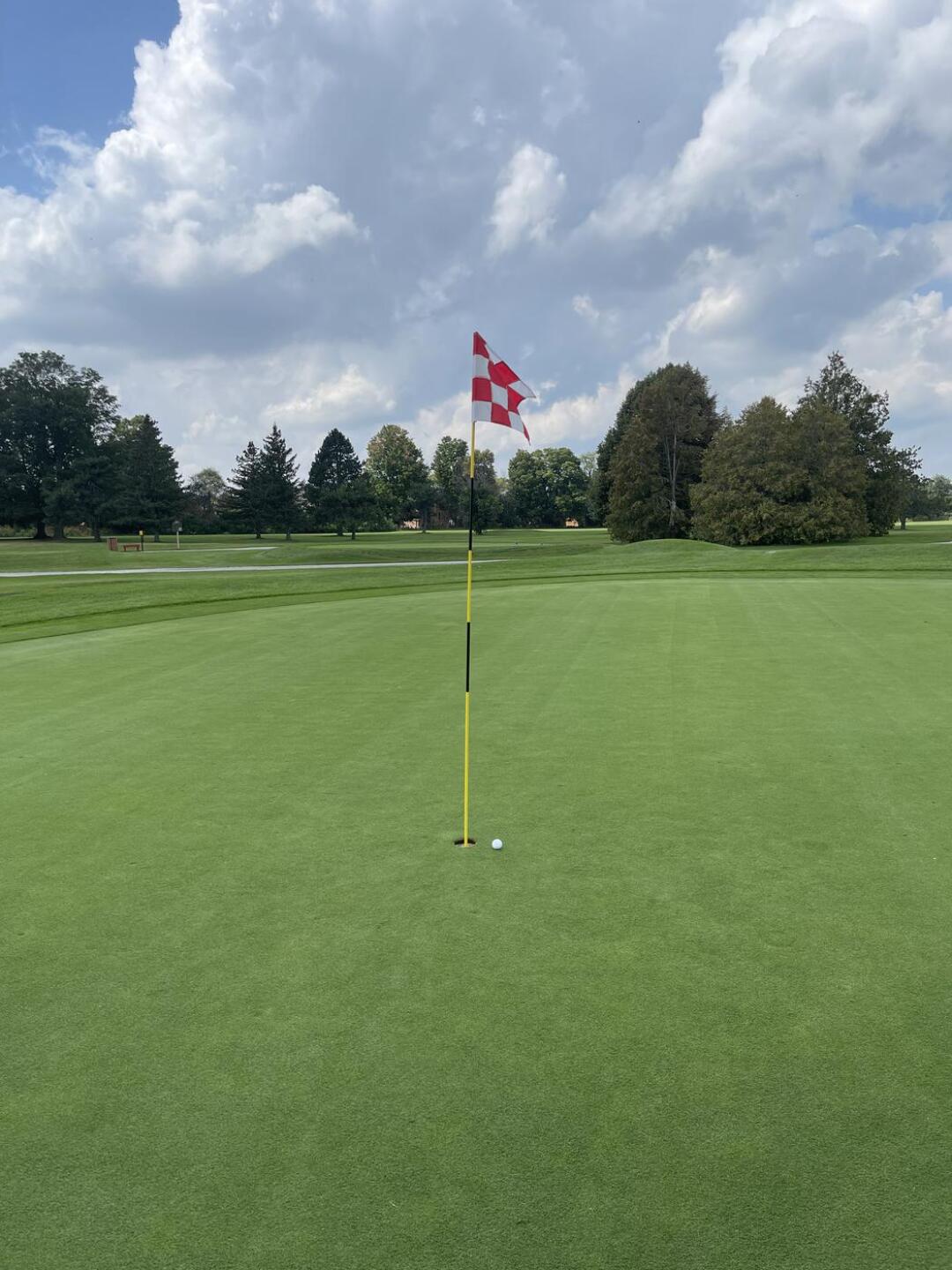 (Photo submitted by gawdyc on 09/08/2023)