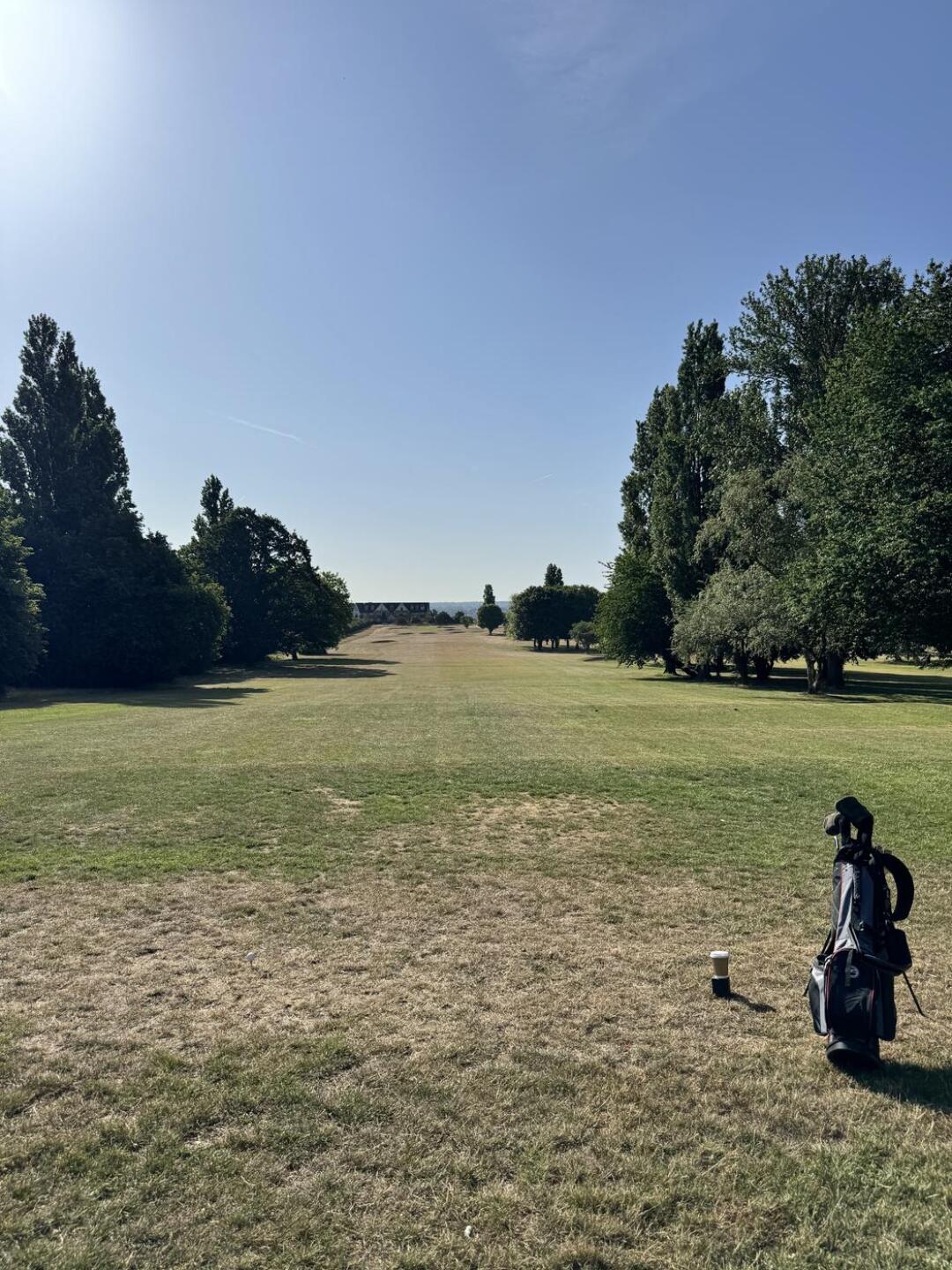 (Photo submitted by V6AAEE7WWOPShfmNnCI2 on 06/22/2025)