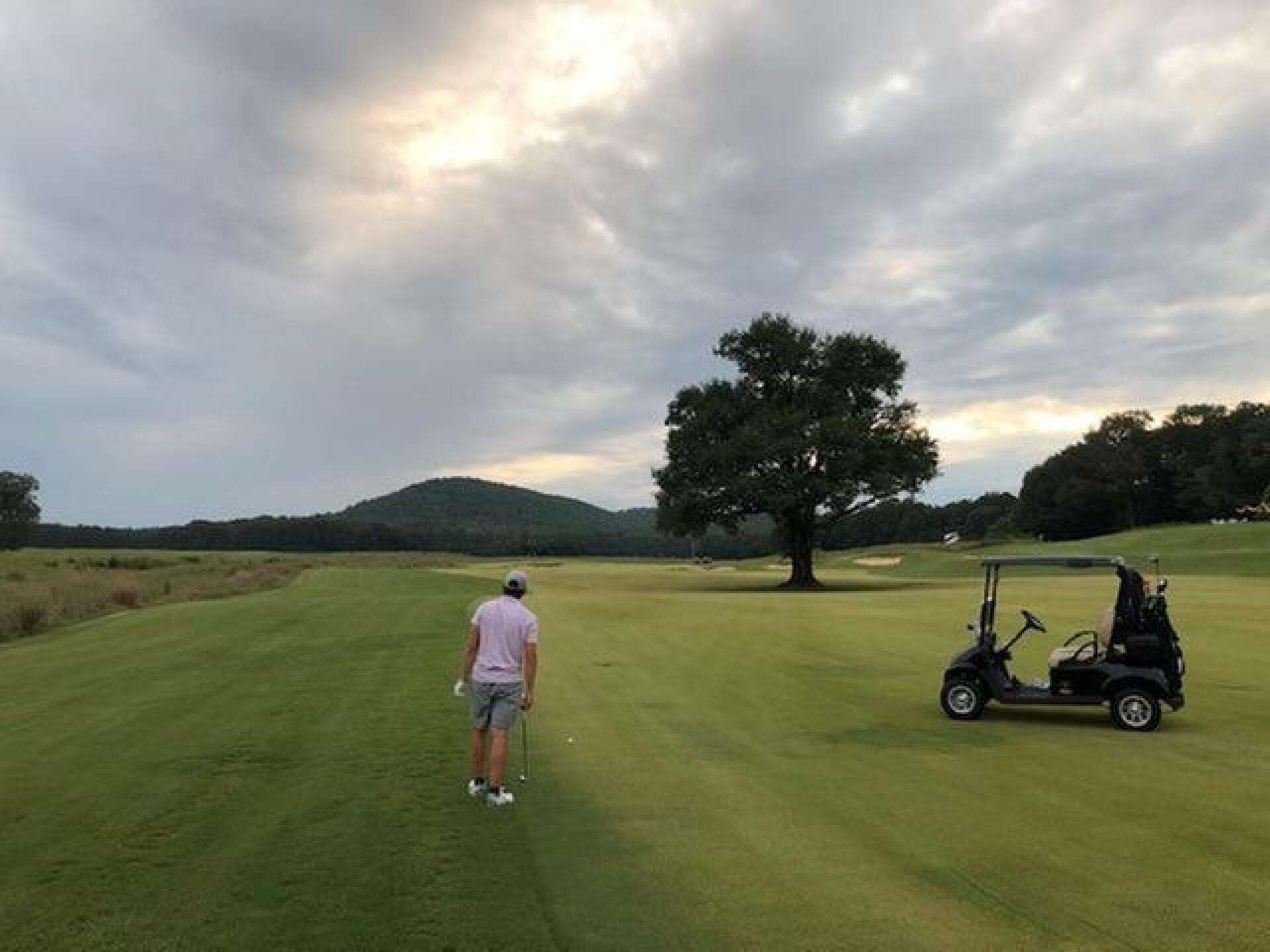 (Photo submitted by Blackburn1984 on 09/14/2020)