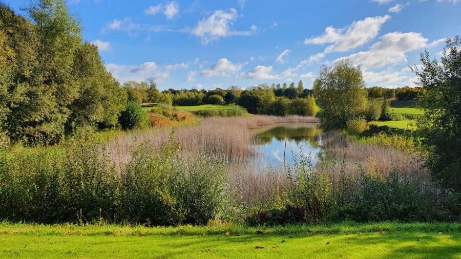 Clandon Regis GC