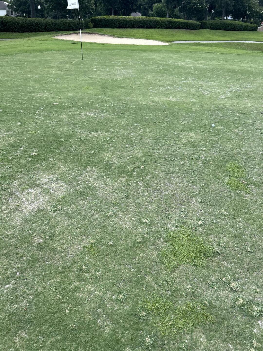 (Photo submitted by kambot12345 on 06/12/2025)