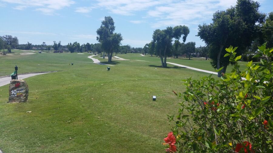 Hibiscus GC: #10