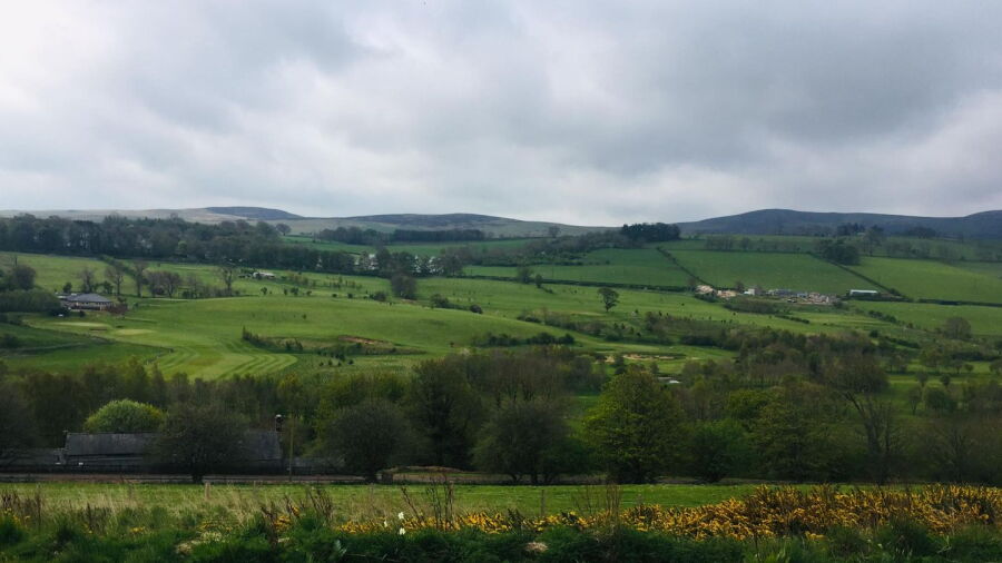 Rothbury GC