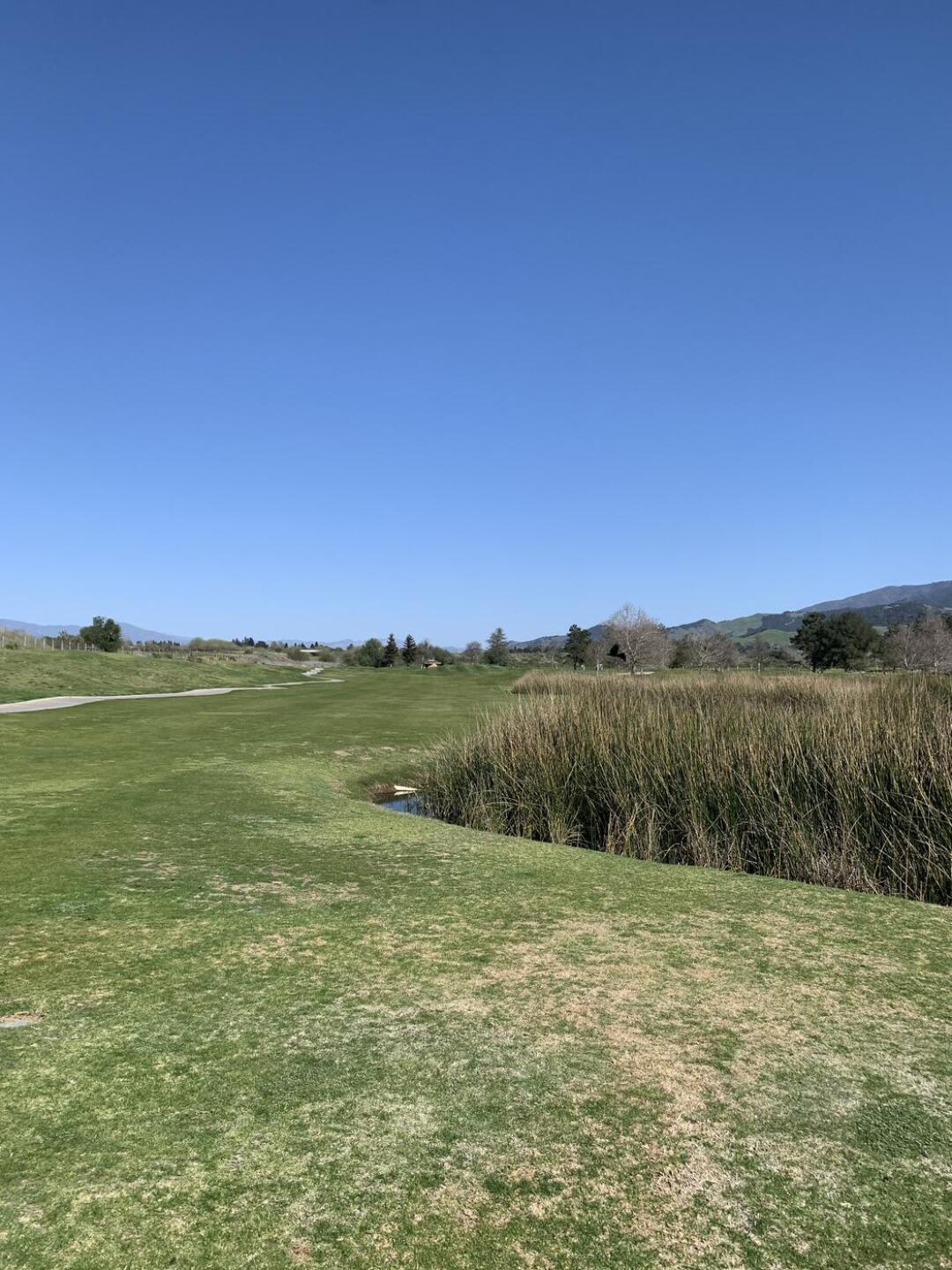 (Photo submitted by chrisleduc on 04/01/2021)