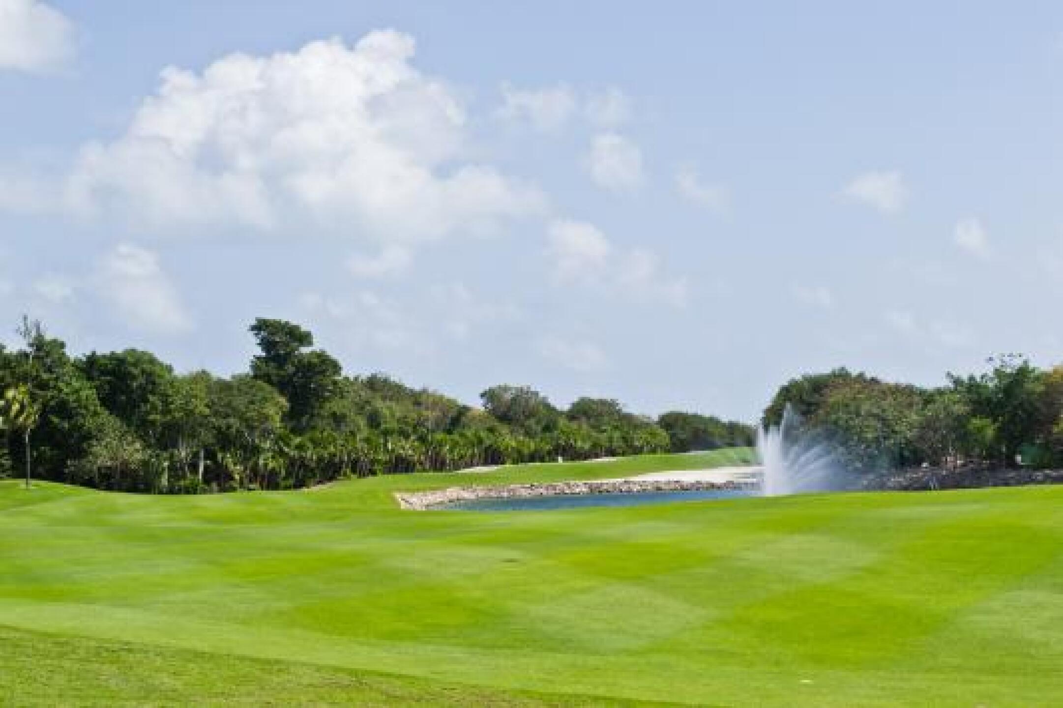 (Photo submitted by Matthew2277308 on 02/14/2013)